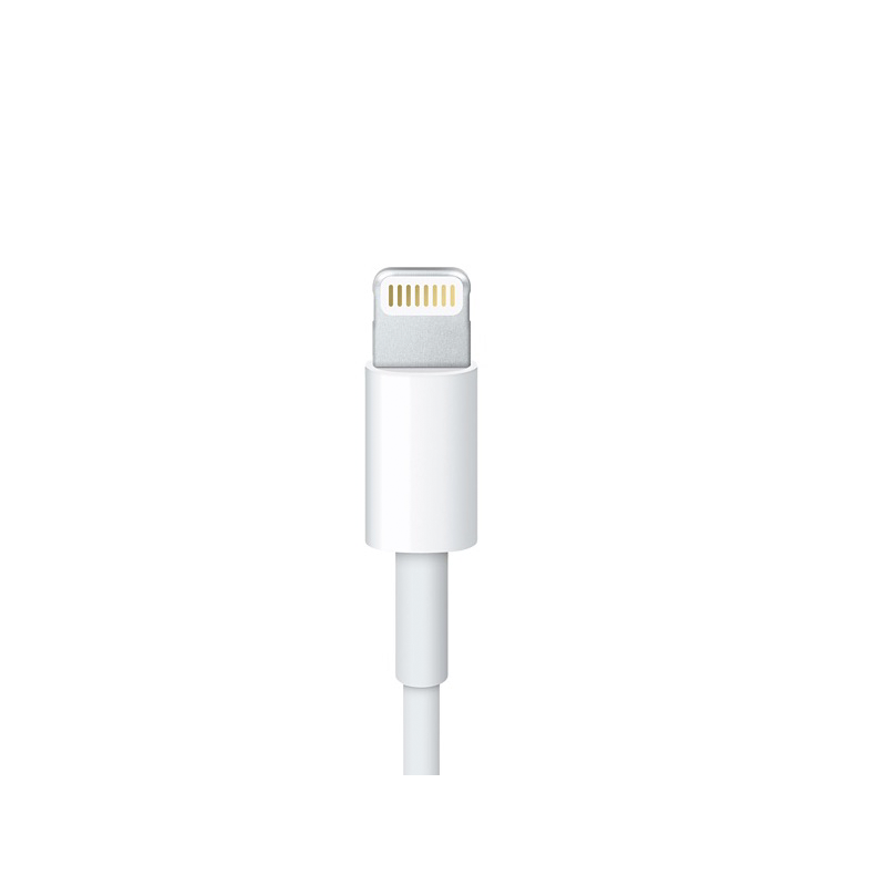 EarPods Ultimate Lightning